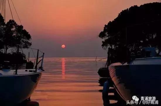 青浦17号线有什么好玩的,上海青浦17号线哪个站最好