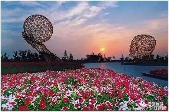 青浦17号线到瑞金医院地铁站,青浦17号线延伸到嘉善站点