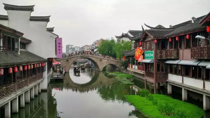 万万没想到!它低调了450多年,却因上海迪士尼一夜间火遍全国!