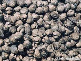 漳州市特产有哪些,漳州的特产有哪些介绍