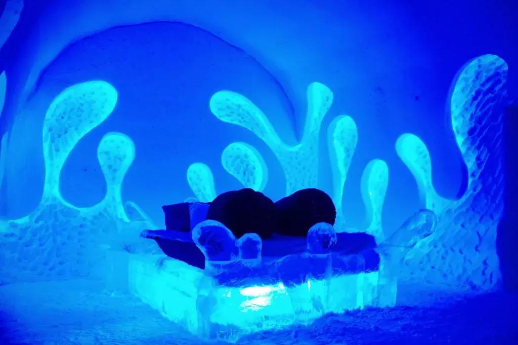 加拿大外星酒店,国外外星酒店