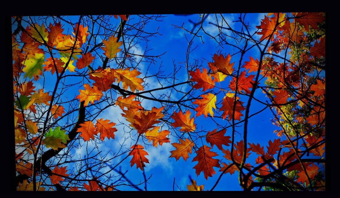 入门级家庭影院配置方案,优派px726hd投影机