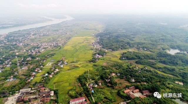 大咖视角丨桃源有了个秋北瓜，要养好！