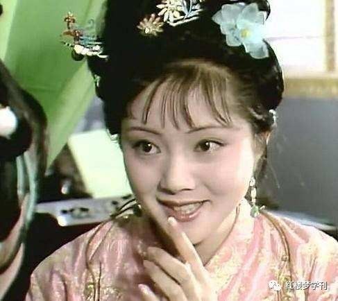 红楼梦咏菊原文翻译及赏析,红楼梦菊花诗十二首解析