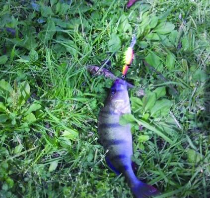 河畔边的哥德堡，路亚狗鱼河鲈的好地方！