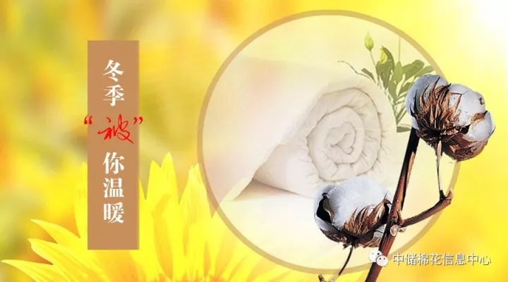 菏泽中储棉最新消息,菏泽中储棉现状