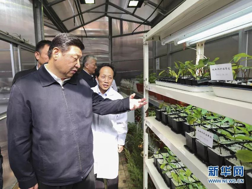 习*平近**为打赢三大攻坚战划重点