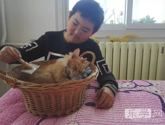 我的家教故事作文,我的家教故事家长征文美篇