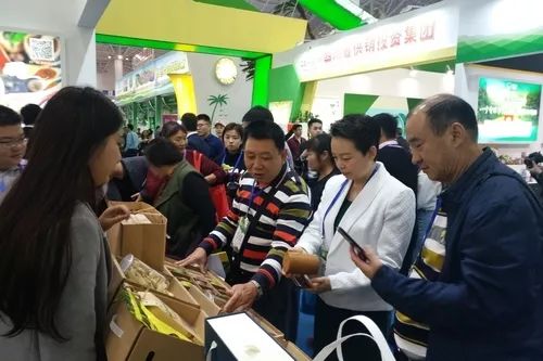 供销合作社改革发展论坛,供销创新发展主题论坛