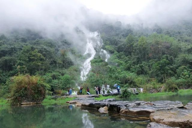 黔南原始森林风景,遇见森林风景
