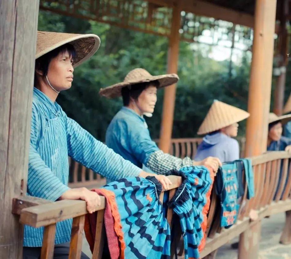 黔南原始森林风景,遇见森林风景