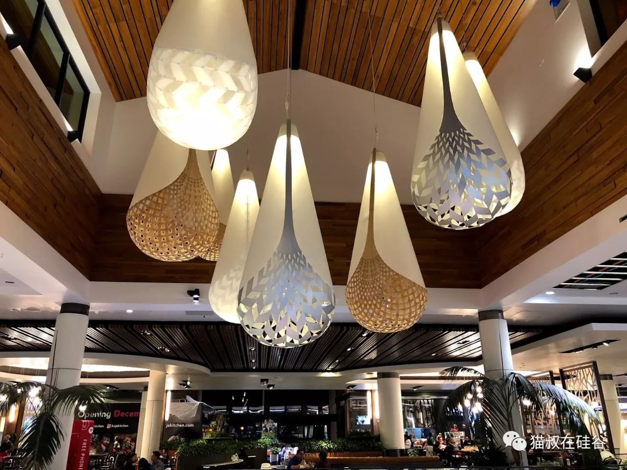 苹果巅峰iphonex,巅峰极速选r8还是c8