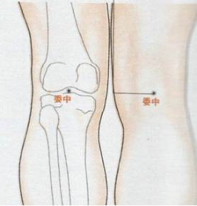 每日一膳｜“走马灯”都冻住了？快来学学这些妙招，通经络的寒瘀！广东省中医院杨志敏教授今日推荐祛风湿、止头痛、散表寒汤膳