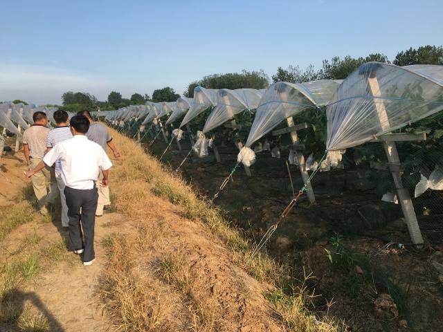 做好三农工作推进农业现代化,振兴乡村加快农业农村现代化