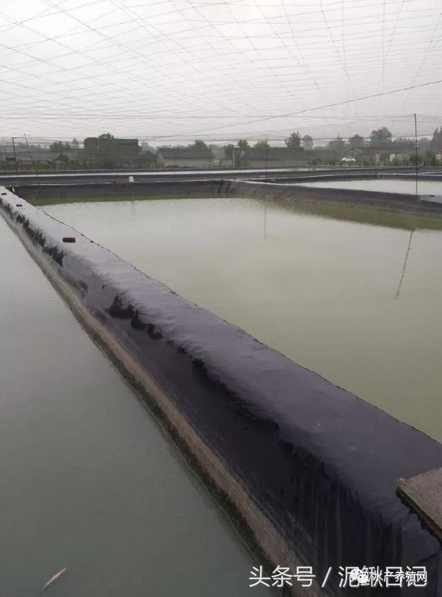 池塘漏水,池塘老漏水怎么堵漏