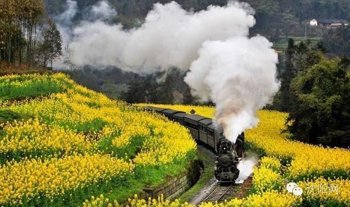 沈阳未来大项目规划,沈阳未来5年发展规划