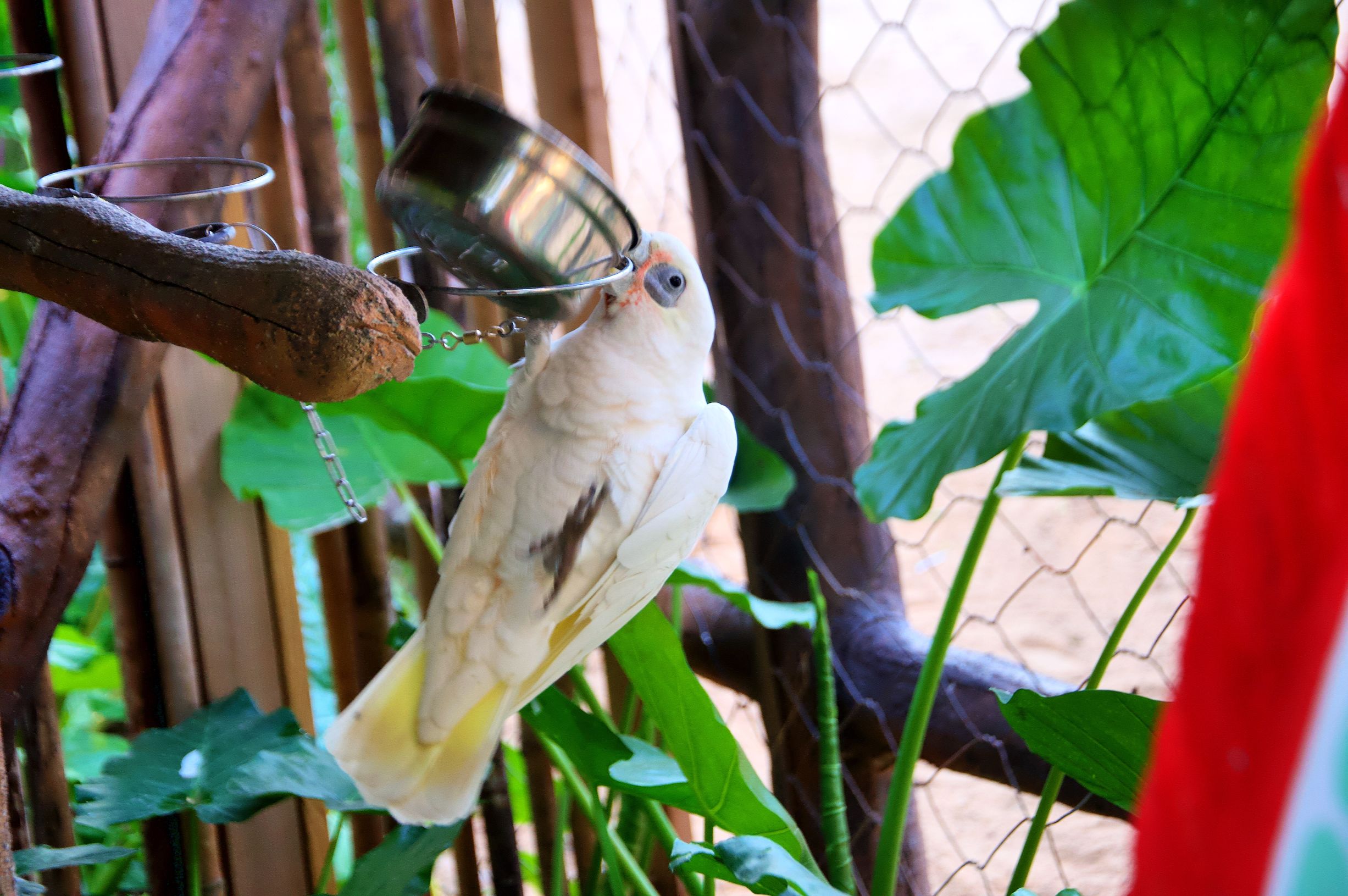 三亚4天3晚海景推荐,颠覆你对海南印象