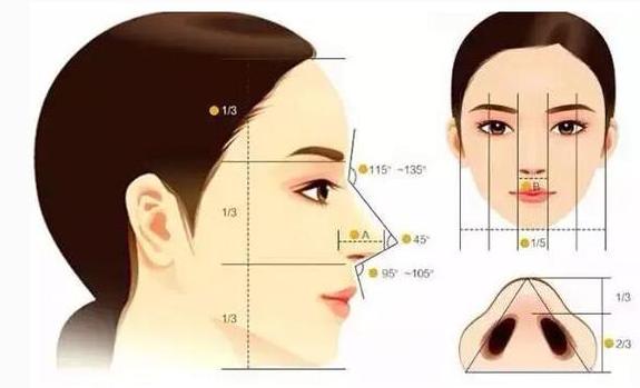 线雕隆鼻是什么意思,线雕隆鼻有什么危害吗有副作用吗