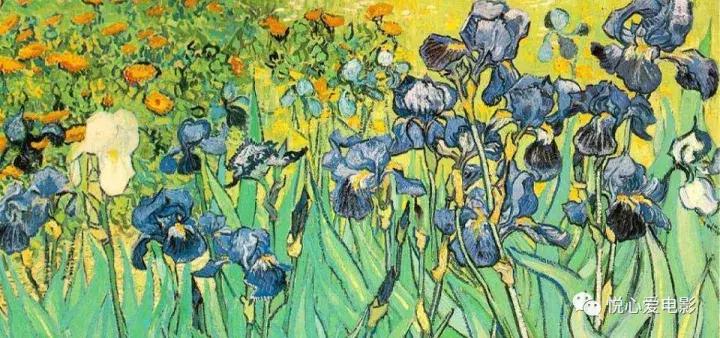至爱梵高20部作品,至爱梵高讲了些什么