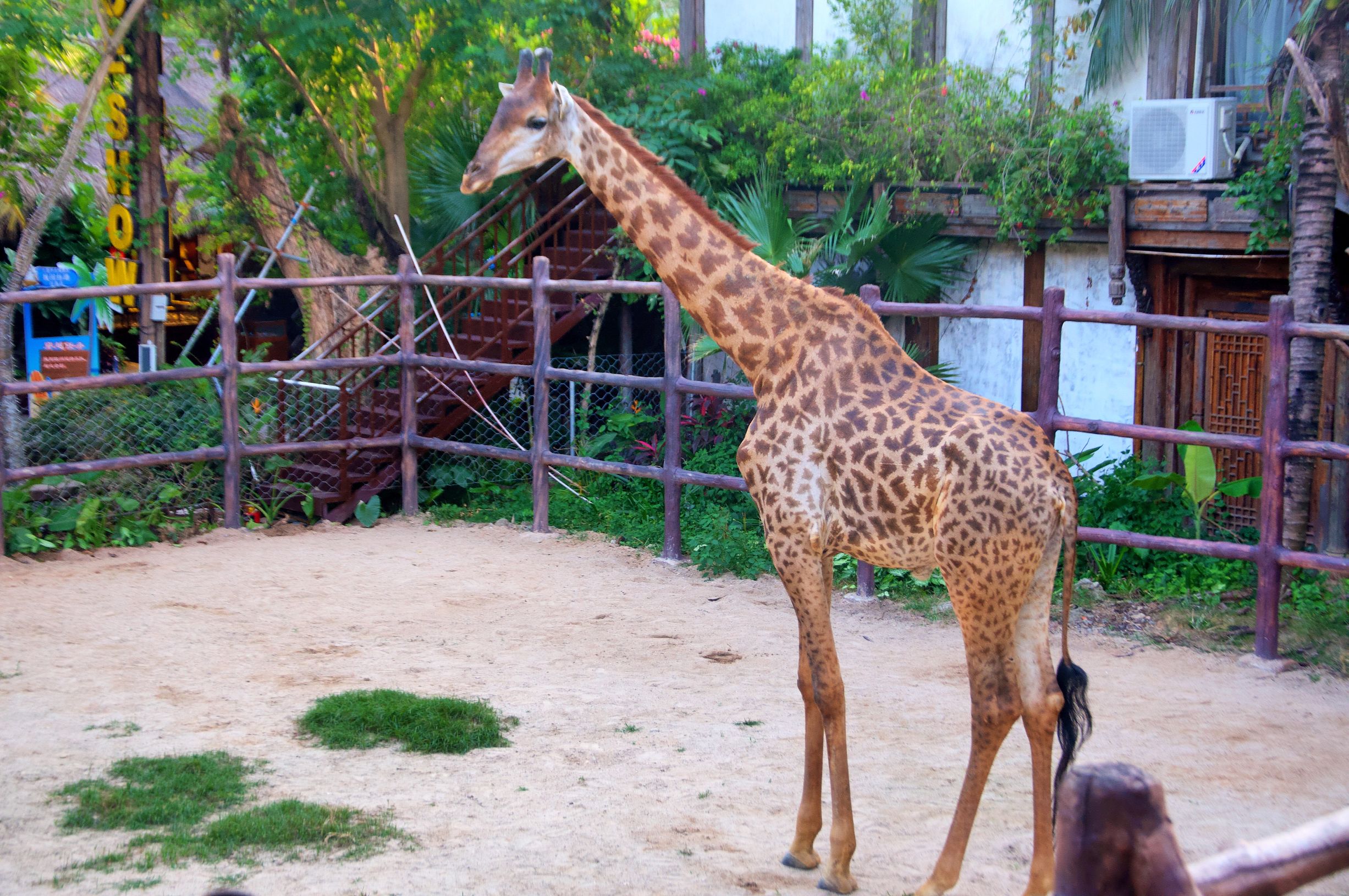 三亚4天3晚海景推荐,颠覆你对海南印象