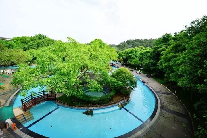 成都周边泡汤攻略,成都周边冬季小众度假