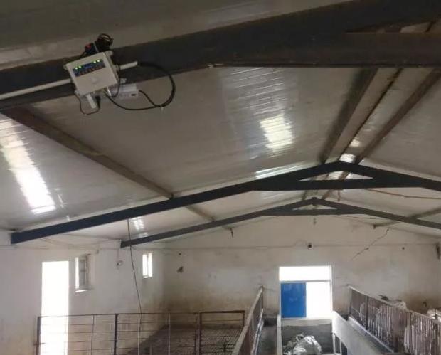 基于物联网的猪养殖智能监控系统,现代畜牧信息化在羊养殖的应用