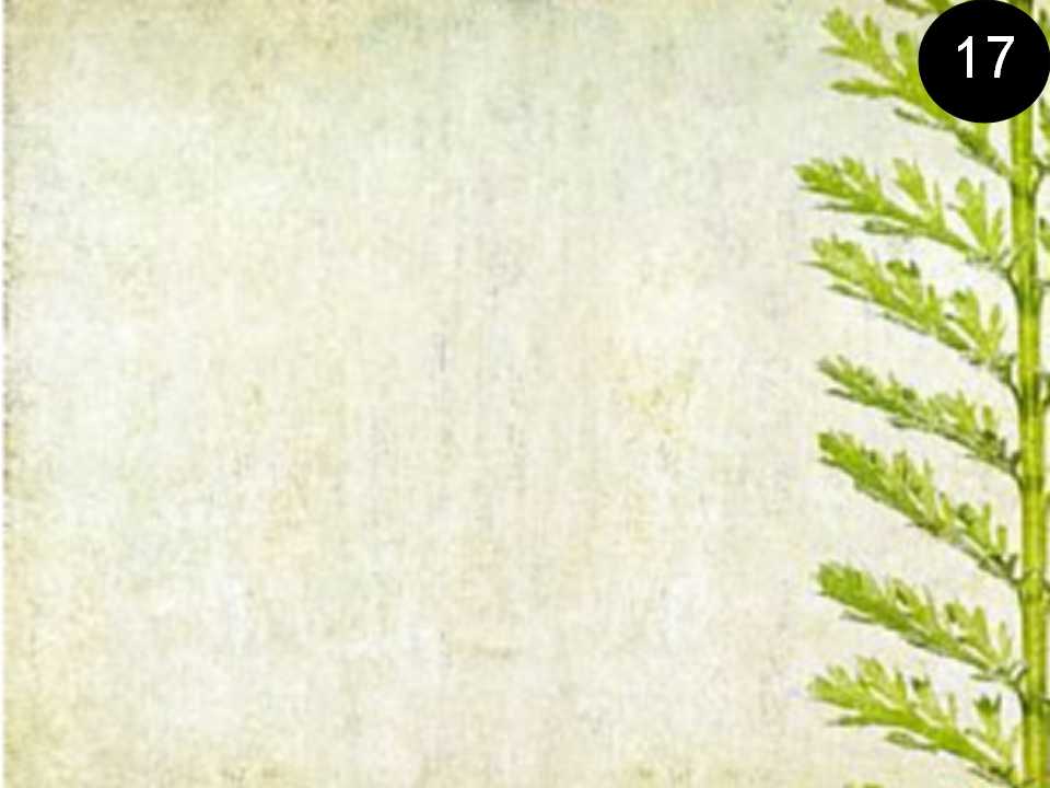 老师最为实用的ppt背景图片,简单ppt课件图片