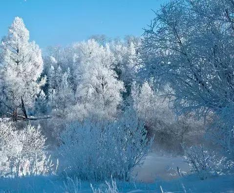 逊克雾凇美景,黑河市大平台雾凇旅游攻略