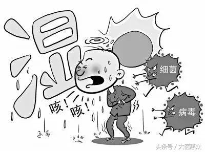 不用烘干机,把你身体里面的湿气给吃出来!