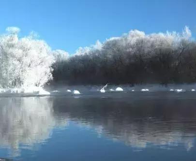 逊克雾凇美景,黑河市大平台雾凇旅游攻略