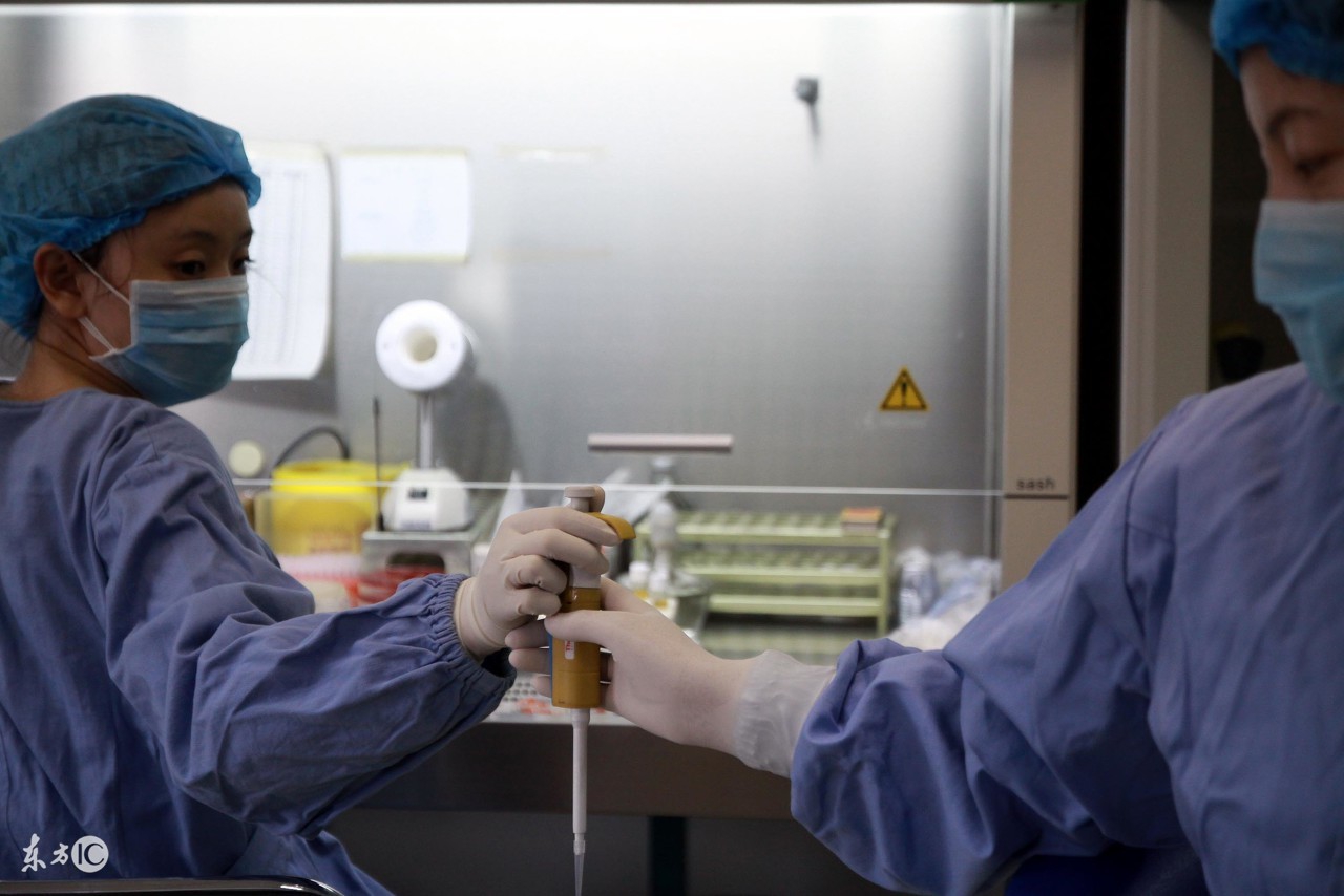 蜜蜂人工授精最新技术,蜂头领正确采蜜方法