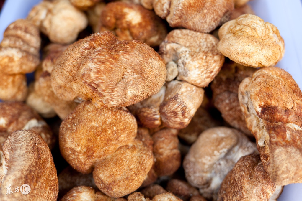 餐桌上必吃的七种冠军蔬菜,饭桌上的精品菜