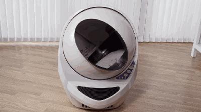 养猫如何不铲屎,什么猫不用铲屎呢