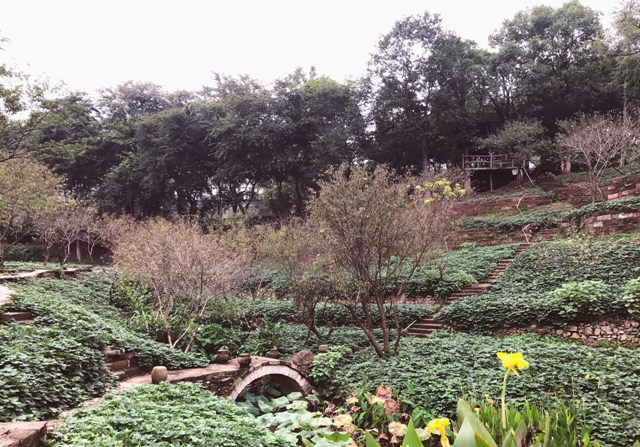 川美，看起不像是读书的地方