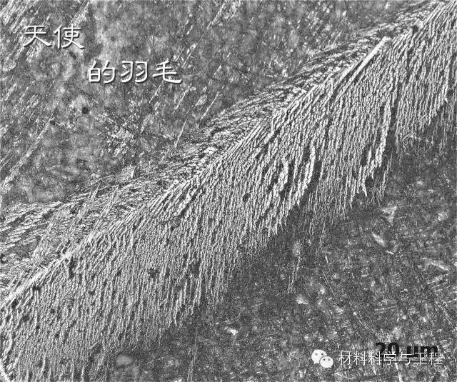 材料的微观组织结构,材料按微观结构可分为