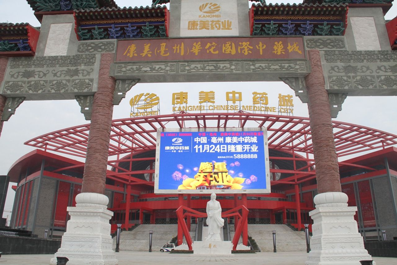 世界上最好的养生药,十大最养生药