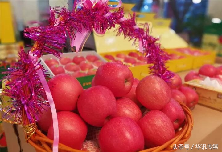 陕西凤翔苹果品种,陕西凤翔特产苹果