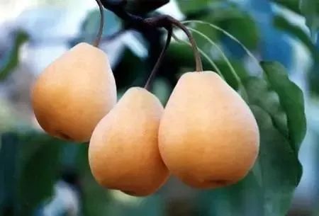 复兴号全面启动,四川广元复兴号