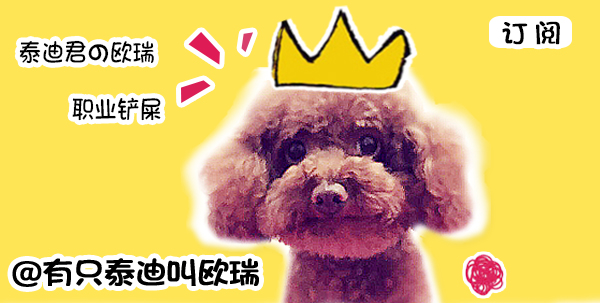 被小狗霸占了大床，狗狗一脸哀怨看着妈妈