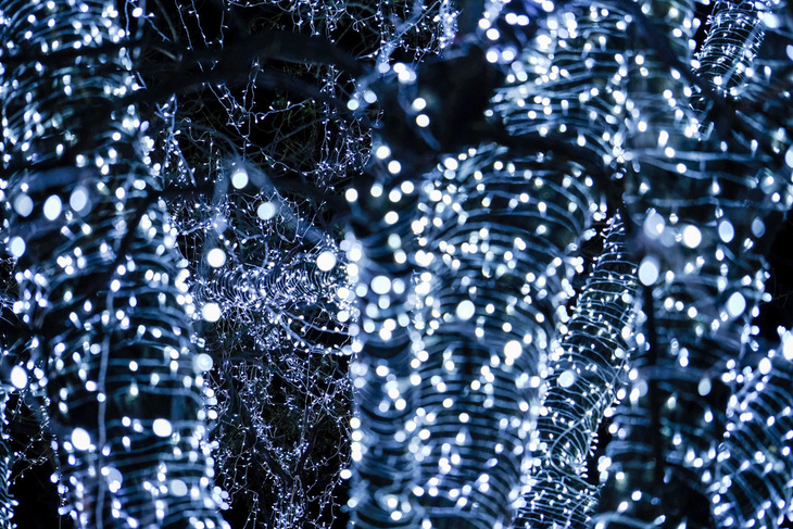 富士xf50mmf2评测,富士xf80mmf2.8