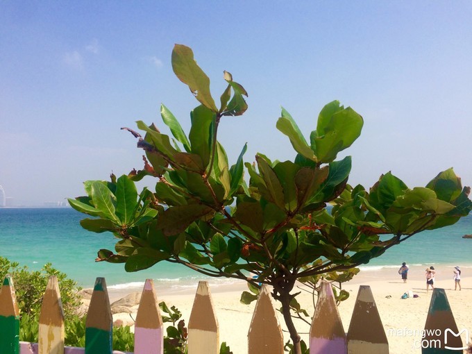 在冬季里享受一下三亚夏日的海风,来享受三亚夏日与海风