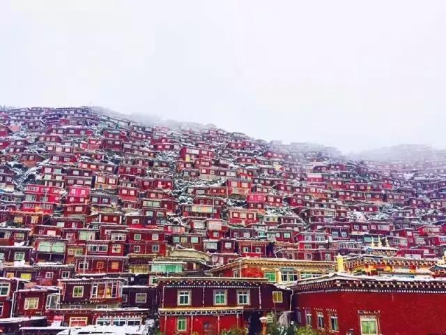 一下雪峨眉山就成了仙境,一下雪川西便美成了天堂