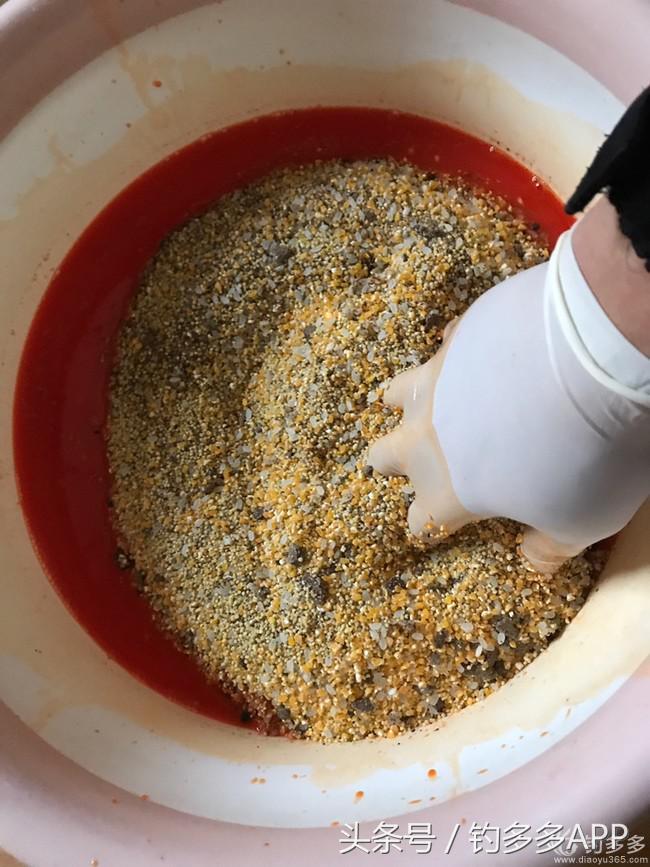 学钓鱼没点狠劲还真不行,鱼竿教学入门零基础野钓