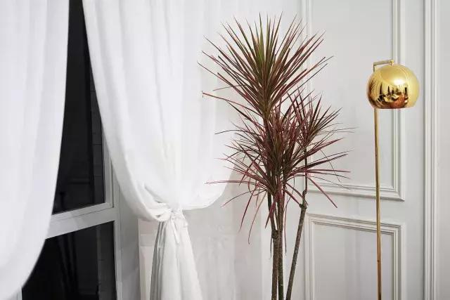 浪漫的fantasy,比较浪漫的民宿名字