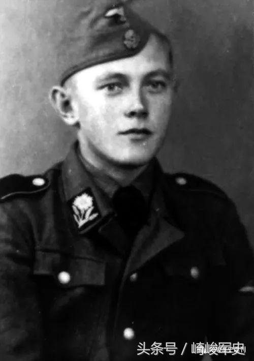 矢车菊凋谢在多瑙河畔：*党**卫军第22“玛丽亚·特蕾莎”骑兵师简史