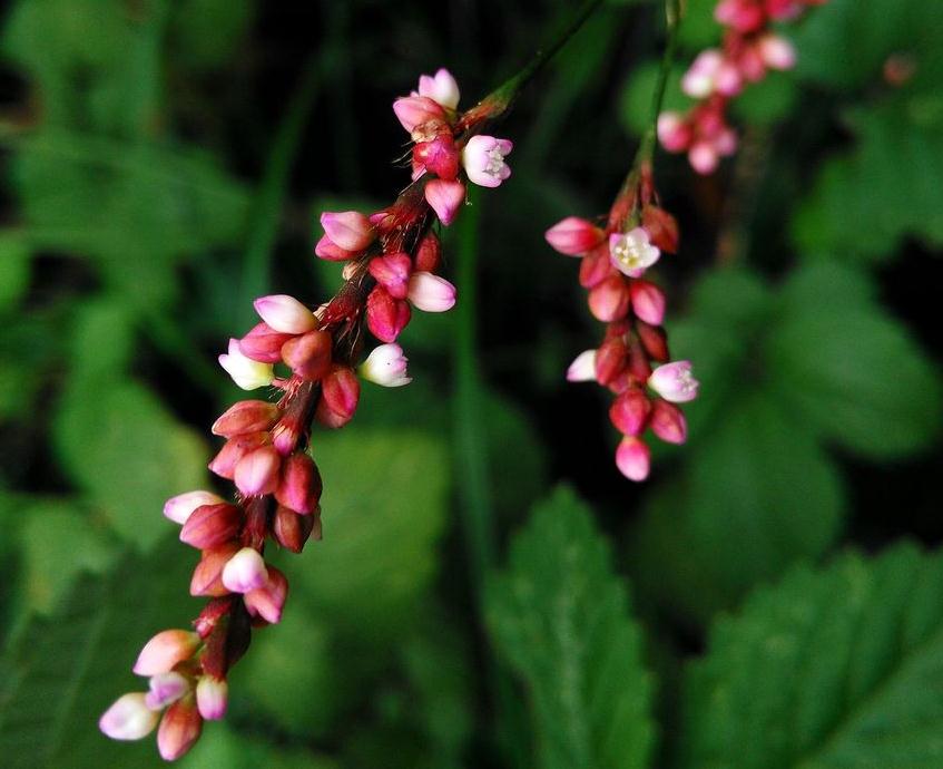 做人不能太窝囊废,做人太失败活得一塌糊涂