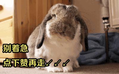 崇武海湾｜今日开启国际沙滩足球大奖赛巴西沙足大咖来到惠安