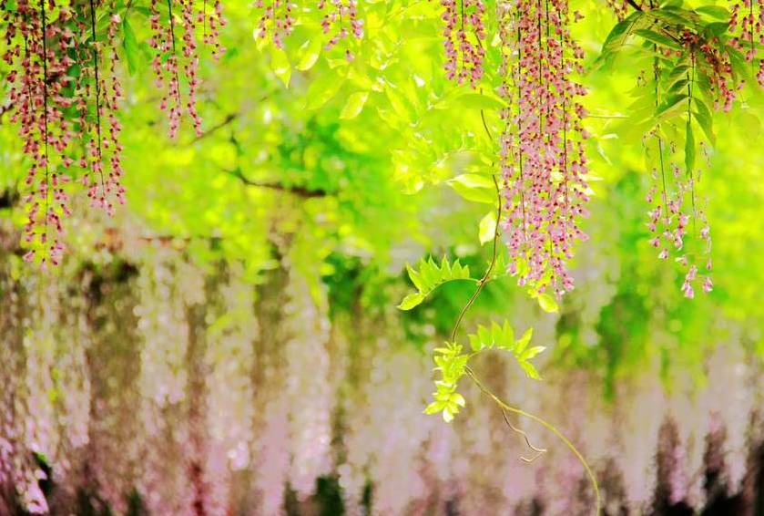 黄正华诗词,黄正华经典诗词