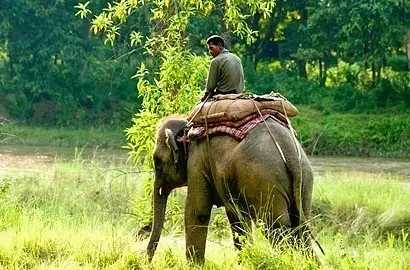 去泰国带哪些东西回去比较划算,来泰国必买什么产品