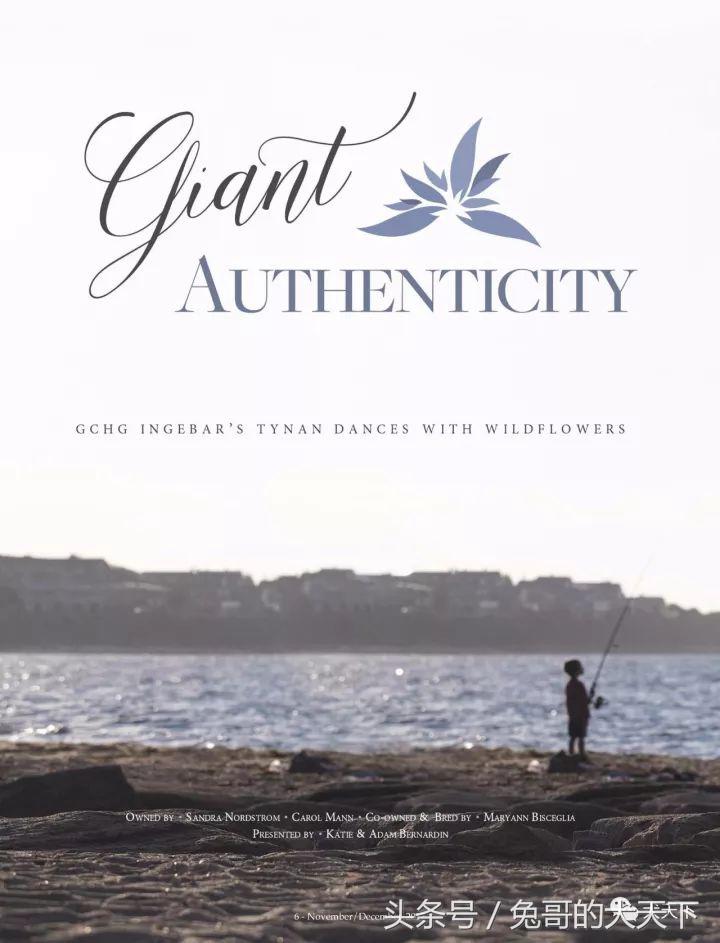 akc最受欢迎犬种排名,akc将犬种分为七个组别分别是